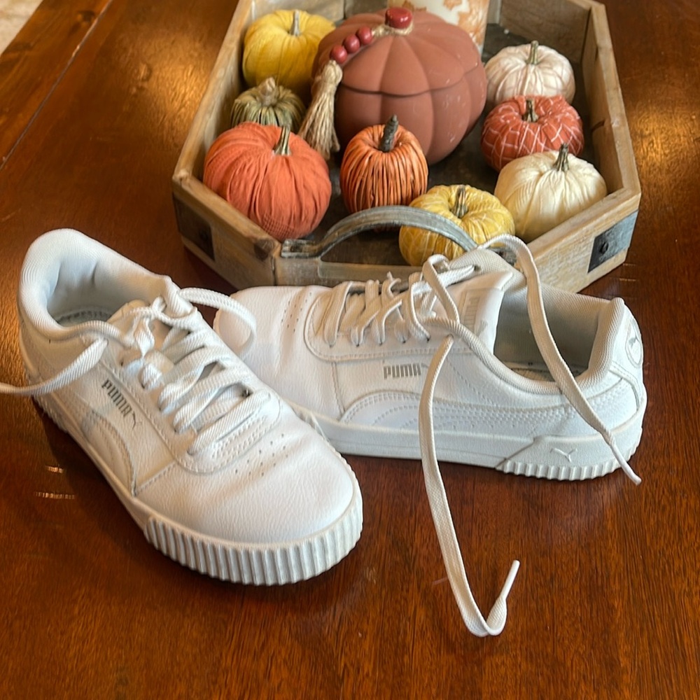 Puma Carina